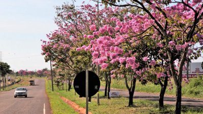 Campo Grande,