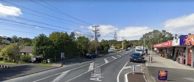 Subrbio de Auckland tem problema com galinhas selvagens  Foto: Reproduo/Google Street View
