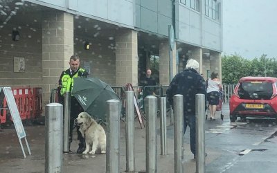 Ethan Dearman usa guarda-chuva para proteger o co Freddie da chuva em Giffnock, na Esccia  Foto: Reproduo/Twitter/CrispRat
