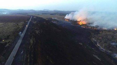 Foco de incndio em Mato Grosso do Sul no ano passado, quando milhares de hectares foram consumidos pelo fogo. (Foto: Divulgao)