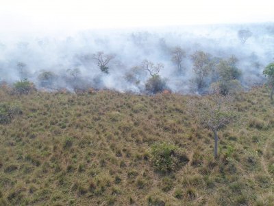 Na regio do Nabileque, perto da Estrada Parque, fogo avanou com rapidez de sbado para c. (Foto: Fazenda BR-Pec)