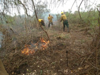 Brigadistas do Prevfogo combatendo fogo no Pantanal, em Corumb, sob pingos de chuva. (Foto: Ecoa)