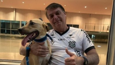 Bolsonaro compartilhou imagem ao lado do cachorro nas redes sociais Imagem: Reproduo/Instagram